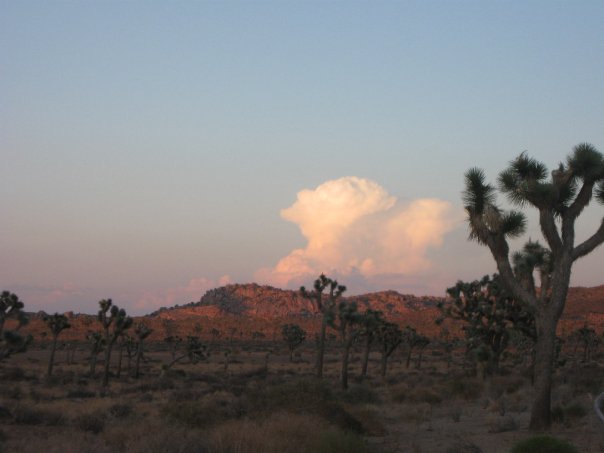 A Wee Backstory about the Decision to&nbsp;Write